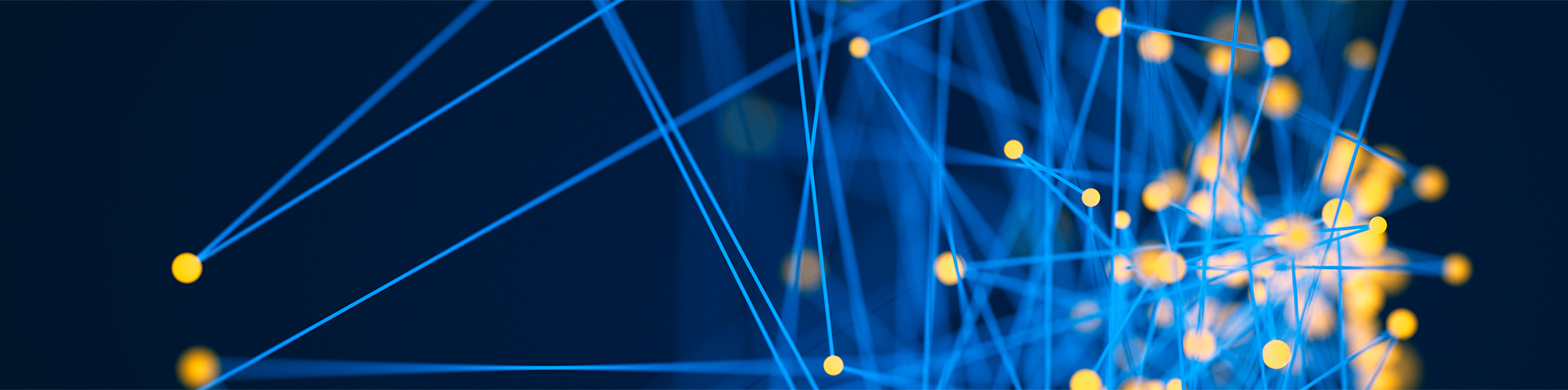 kok网页版登录界面