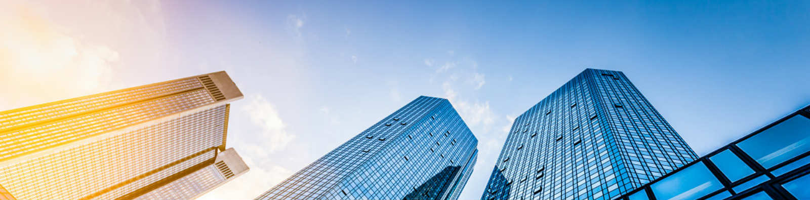 kok网页版登录界面