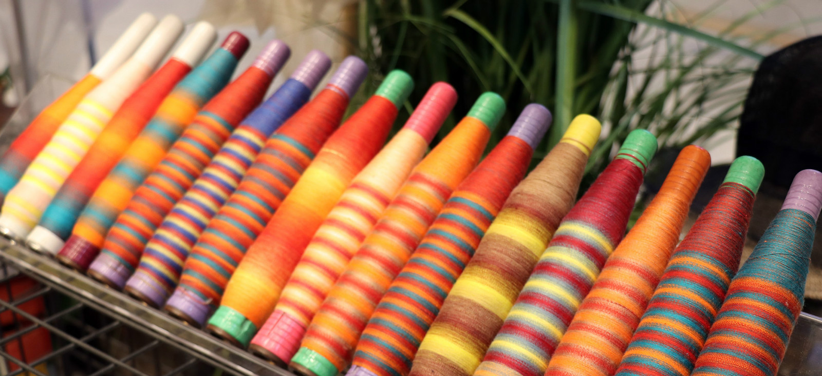 kok网页版登录界面